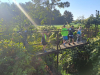 image_6483441